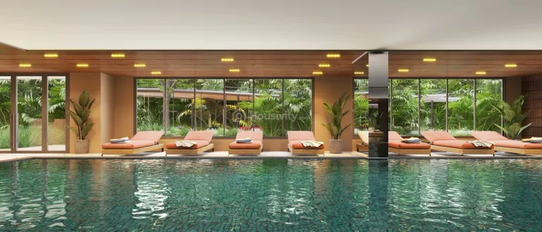 Kavisha - The Canvas Image 11