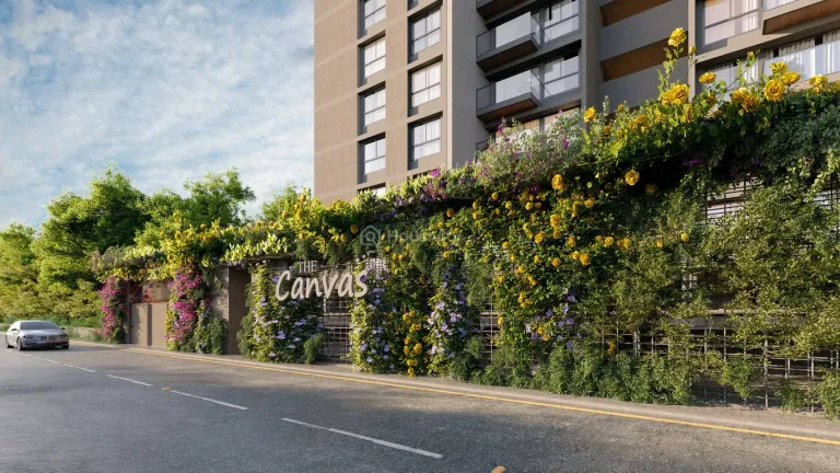 Kavisha - The Canvas Image 16