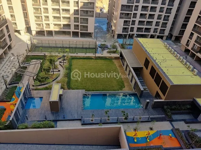 Olive Greens Image 4