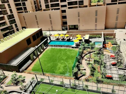 Olive Greens Image 5