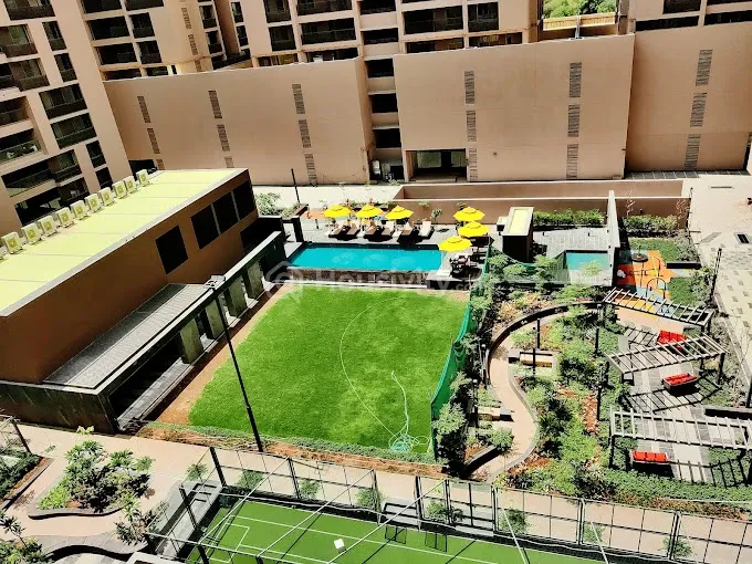 Olive Greens Image 5