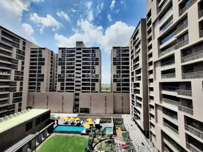 Olive Greens Image 6