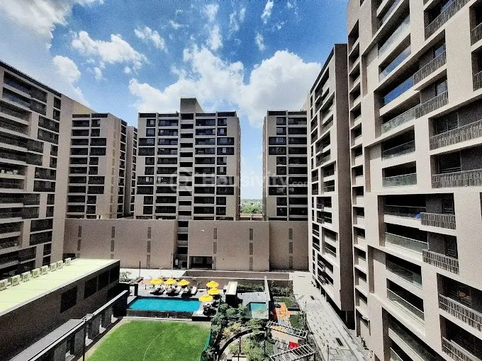 Olive Greens Image 6