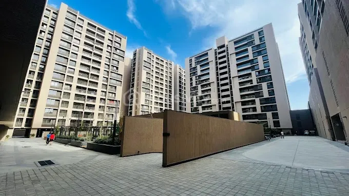 Olive Greens Image 8