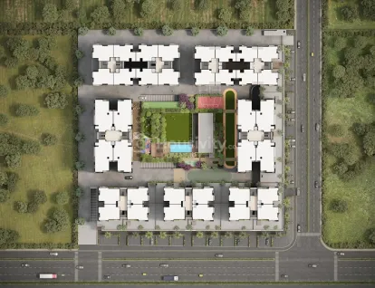 Olive Greens Image 11