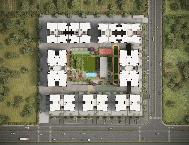 Olive Greens Image 11