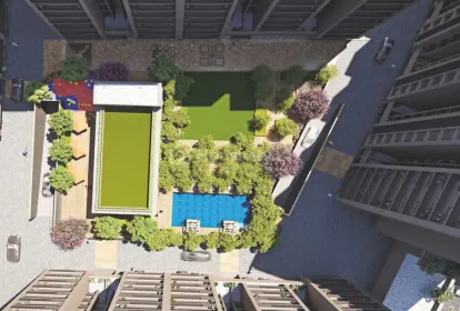 Orchid Blues Image 6