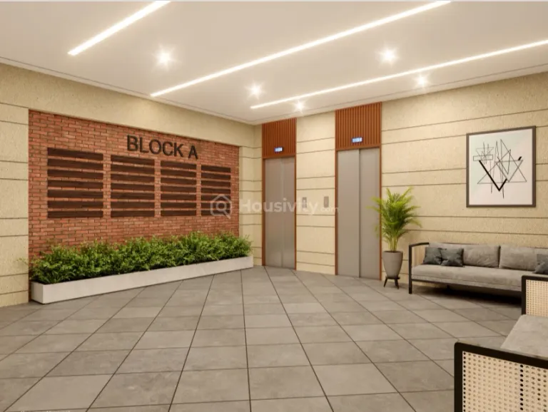 Colin Harmony Image 4