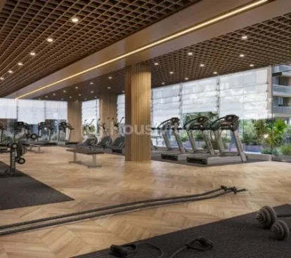 Festival O2 Image 10