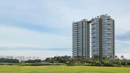 The Storeys Thumbnail