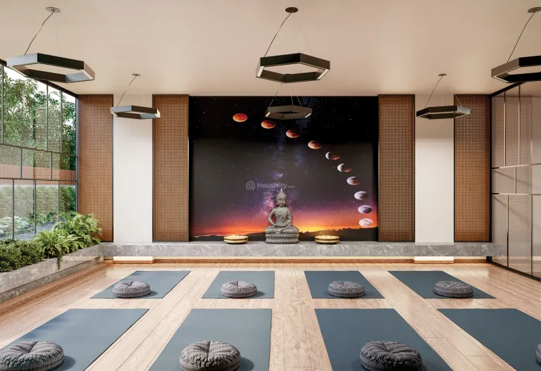 Shafalya Veritas Image 9