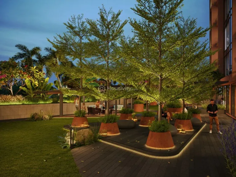 Sheladia Treetop Image 4