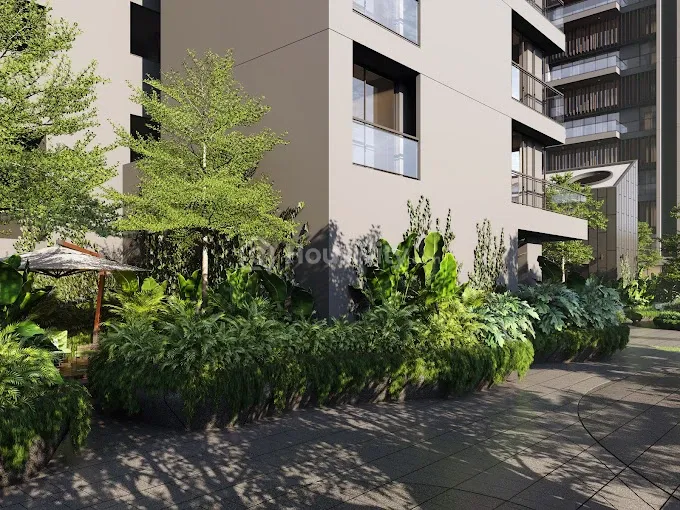 Seventh Stark Torre Image 14