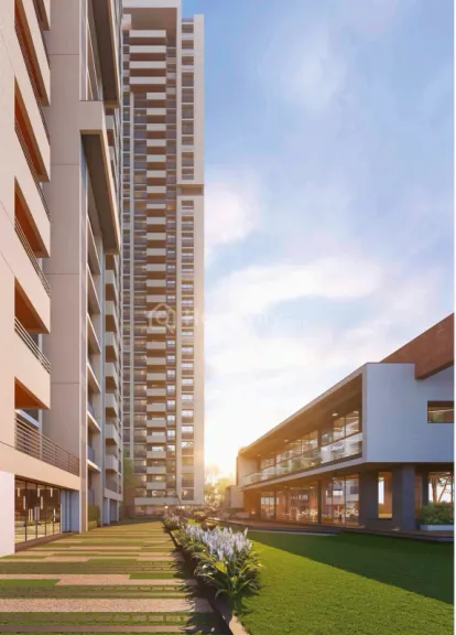 Harmony Harikesh Image 9