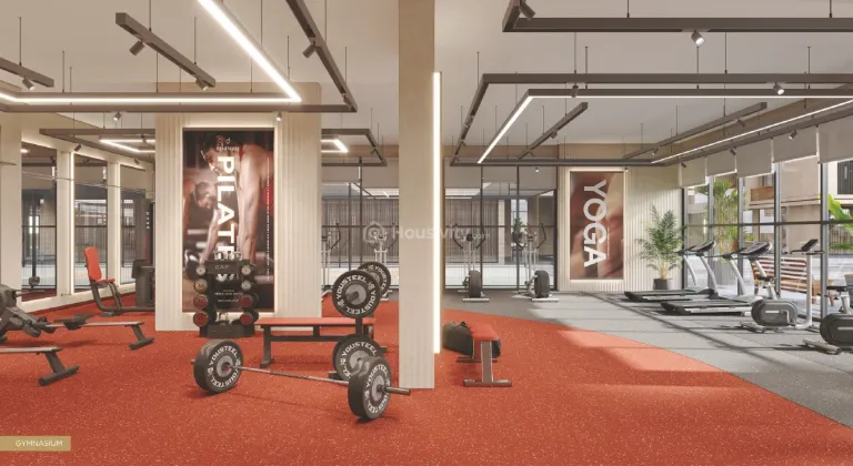 Super Shaligram Image 17