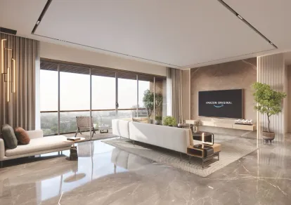 Super Shaligram Image 20