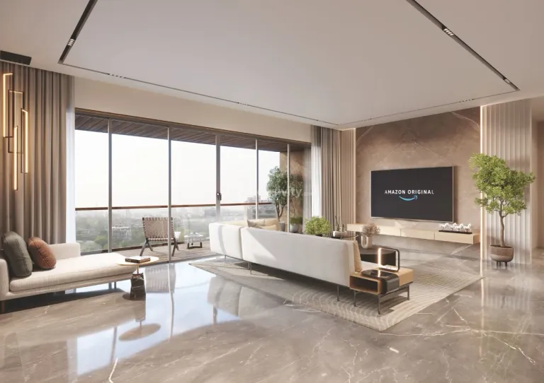 Super Shaligram Image 20