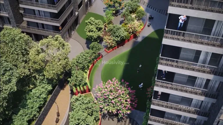 Dream Vianna Image 3