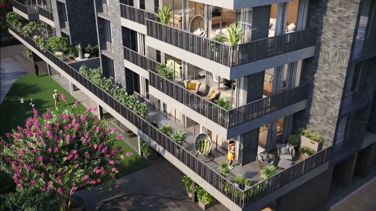 Dream Vianna Image 5