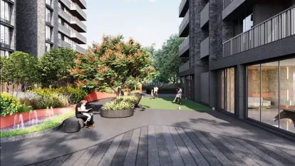 Dream Vianna Image 6