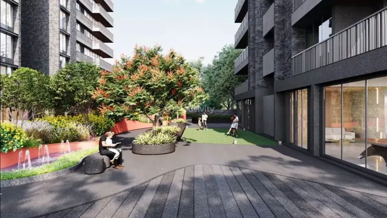 Dream Vianna Image 6