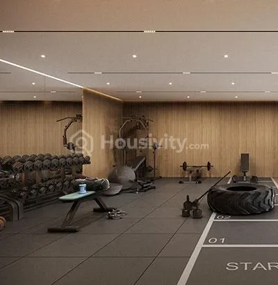 Siddharth Greenz Image 3