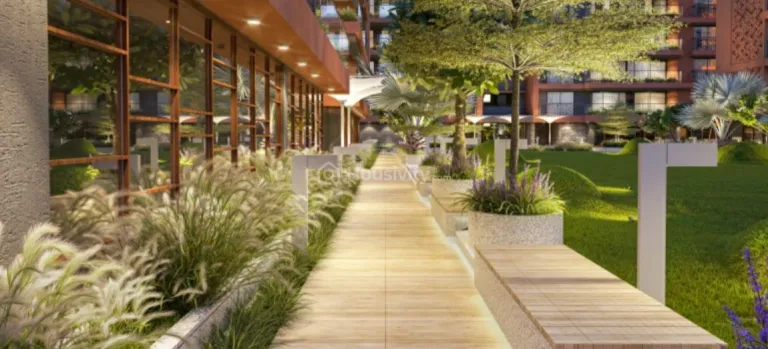 Kiara Signature Image 15