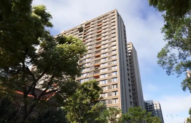 Venus Pashmina Image 12