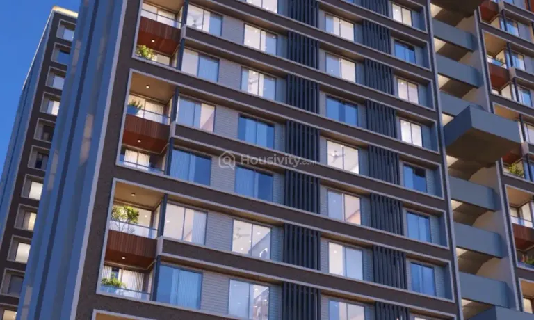 Venus Pashmina Image 13