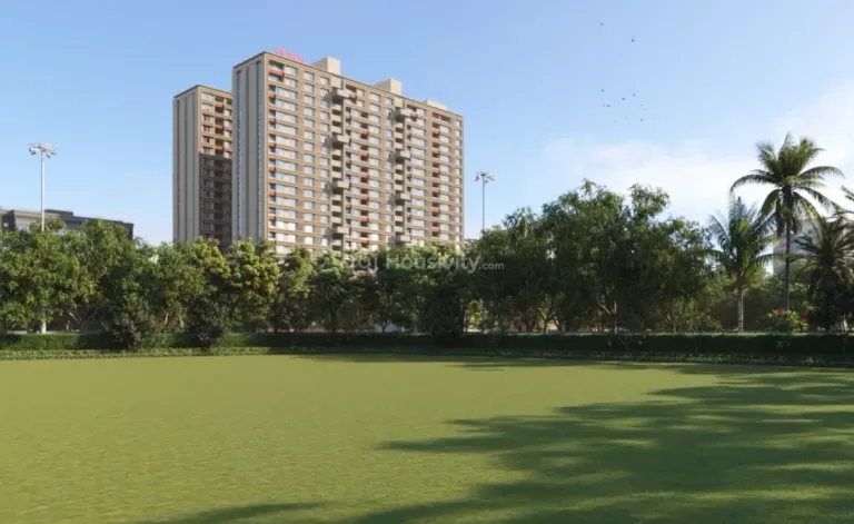 Venus Pashmina Image 14