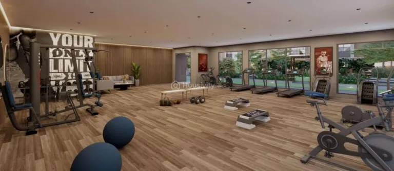 Suramya Dreams Image 8