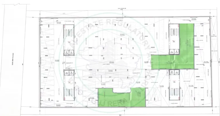 Sawera Shaligram Image 5