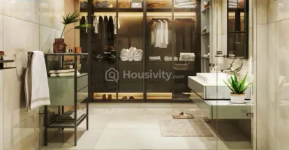 Oriental Viola Image 5