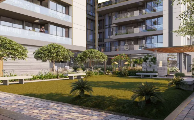 Ideal Imbert Image 11