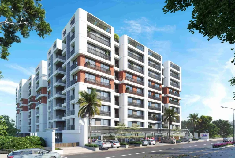 Colin Elegance Image 5