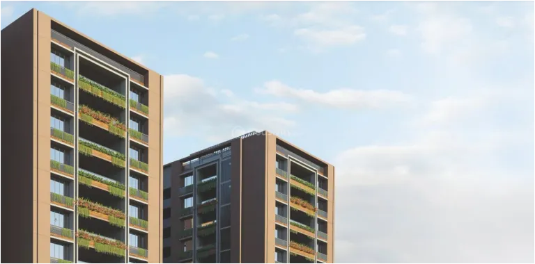 Dharm The Mango 2 Image 1