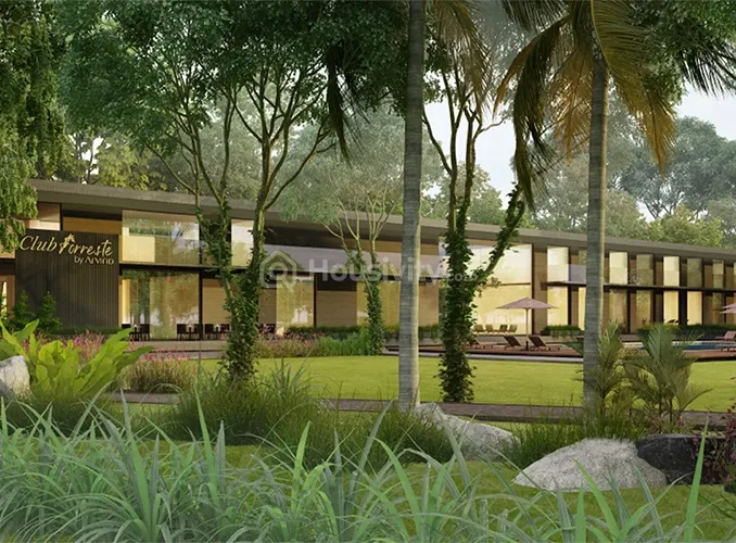 Arvind Forreste Image 4