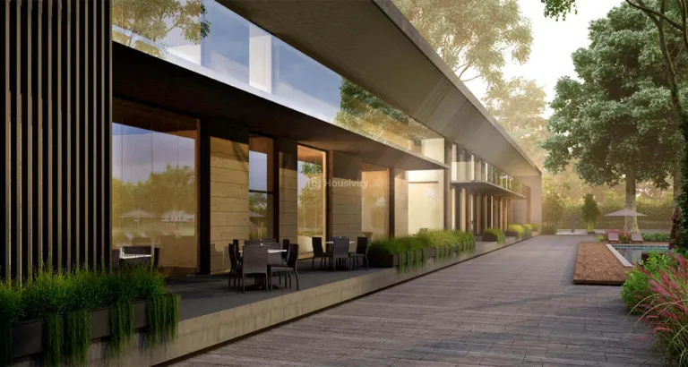 Arvind Forreste Image 11