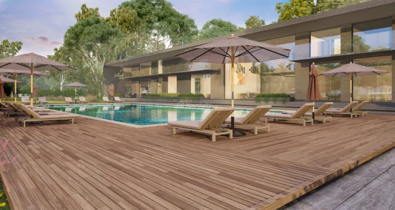 Arvind Forreste Image 16