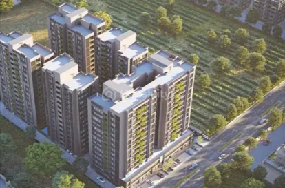 Elenza Green Wood Image 6