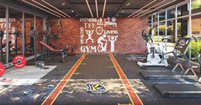 Elenza Green Wood Image 8