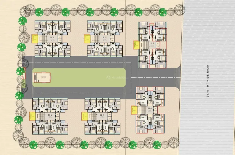 Sunrise Exotica Image 6