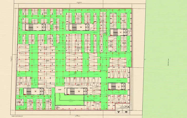Sunrise Exotica Image 7