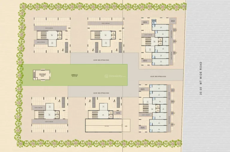 Sunrise Exotica Image 8