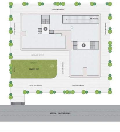 White Crest Image 9