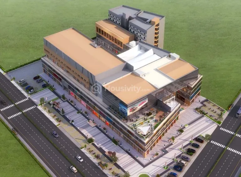 Iconic Three Image 6