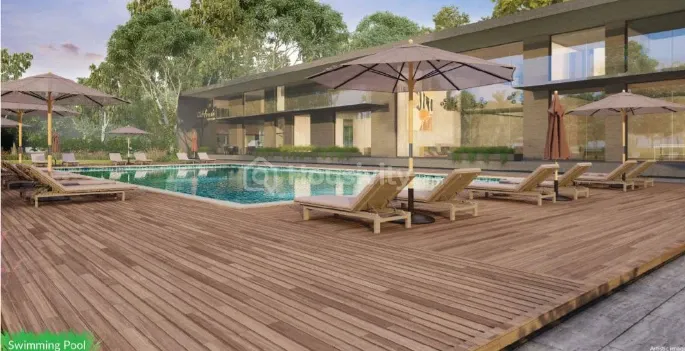 Arvind Forreste 5 Image 5