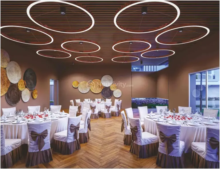 Fortune Imperia 2 Image 9