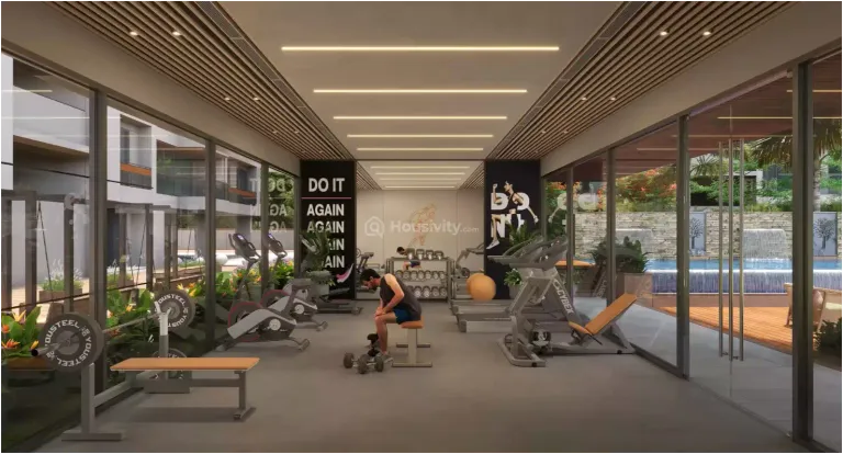 Fortune Prime Image 15