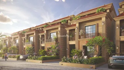 Auro Paradise Thumbnail